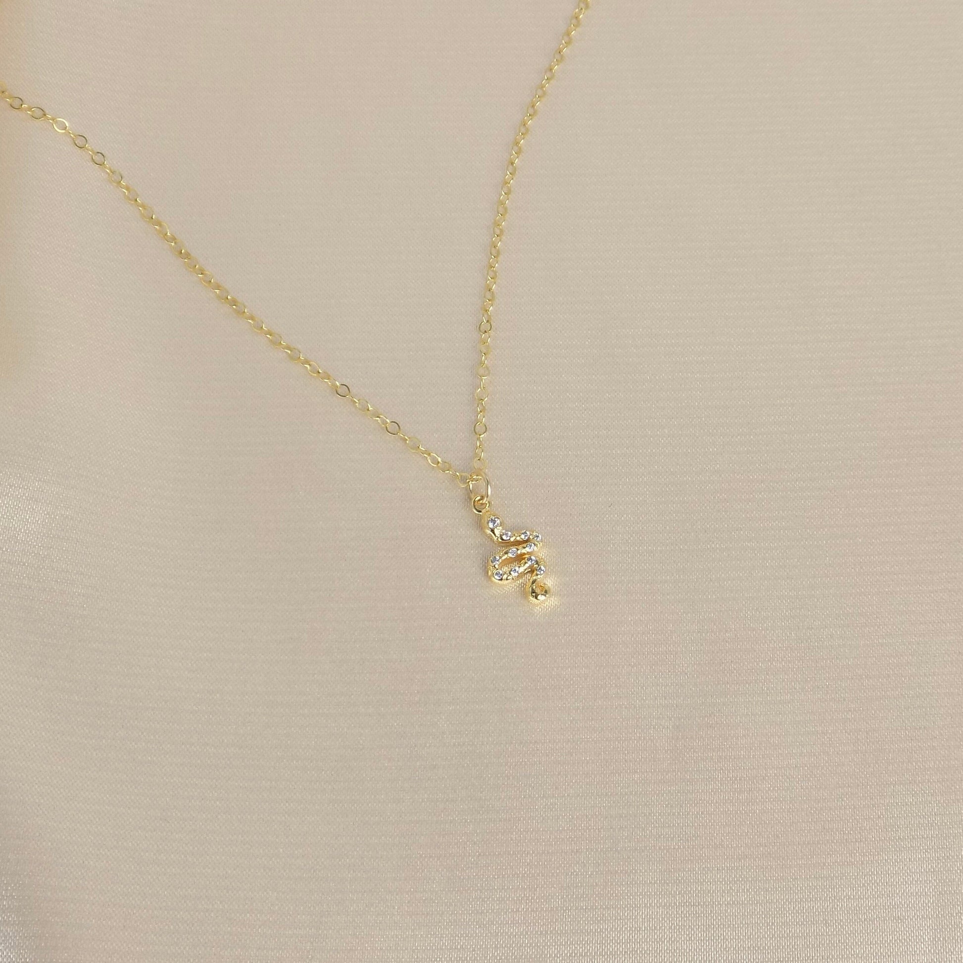 Tiny Snake Necklace Gold - Small Zircon Snake Charm Necklace