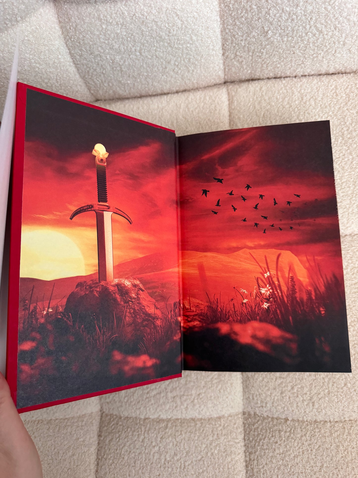 SIGNED Penn Cole Burn of the Everflame 1st Ed. Hardcover Kindred's Curse Saga 4